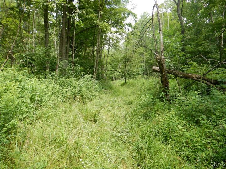 Property Photo: Chaffee Creek Road NY 14867