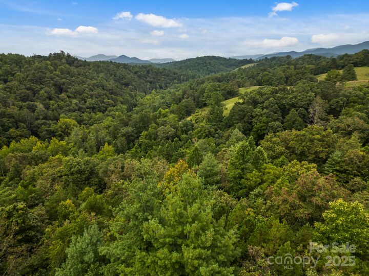 Property Photo:  00 Crist View Drive 10  NC 28753 