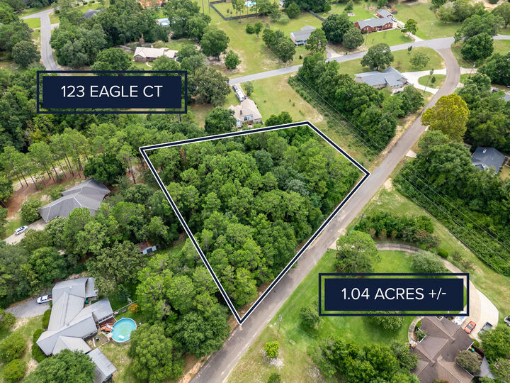 Property Photo:  Lot 123 Eagle Court  FL 32539 