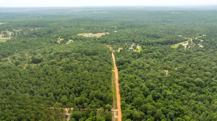 Property Photo:  11.36 Ac Brannon Montgomery Road  GA 31058 