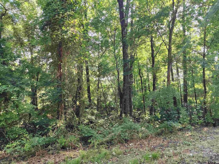 Property Photo: Tbd Cr 378 (Hobbs Rd.) TX 75708