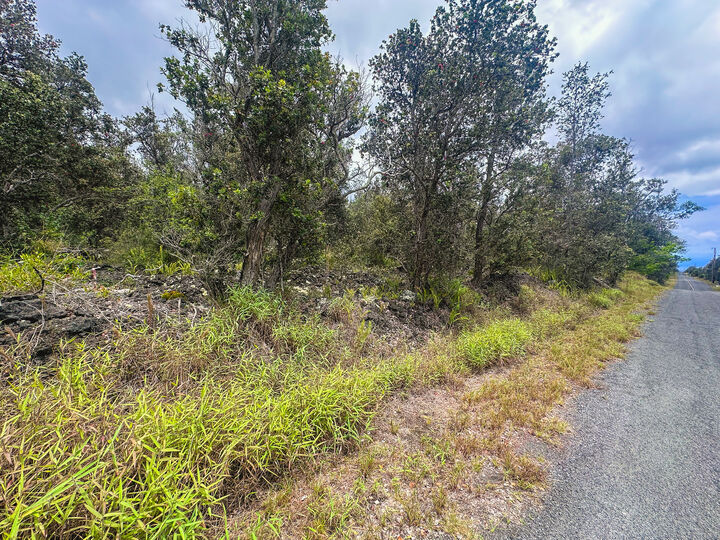 Property Photo: 92-9130 Tree Fern Ln HI 96737