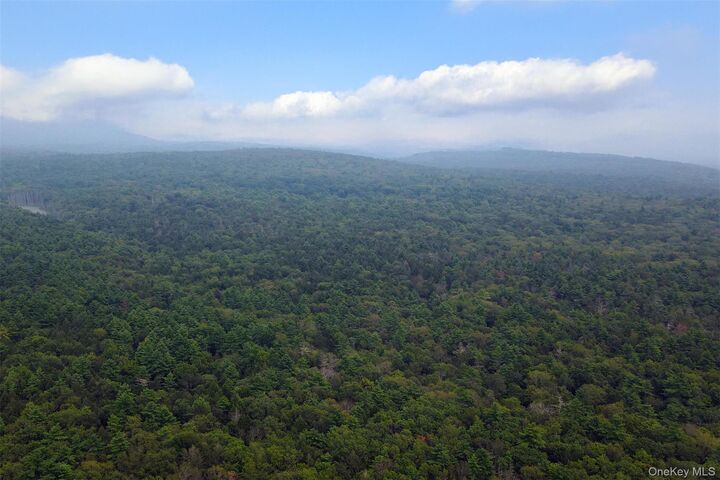 Property Photo:  00 Lauren Court  NY 12498 