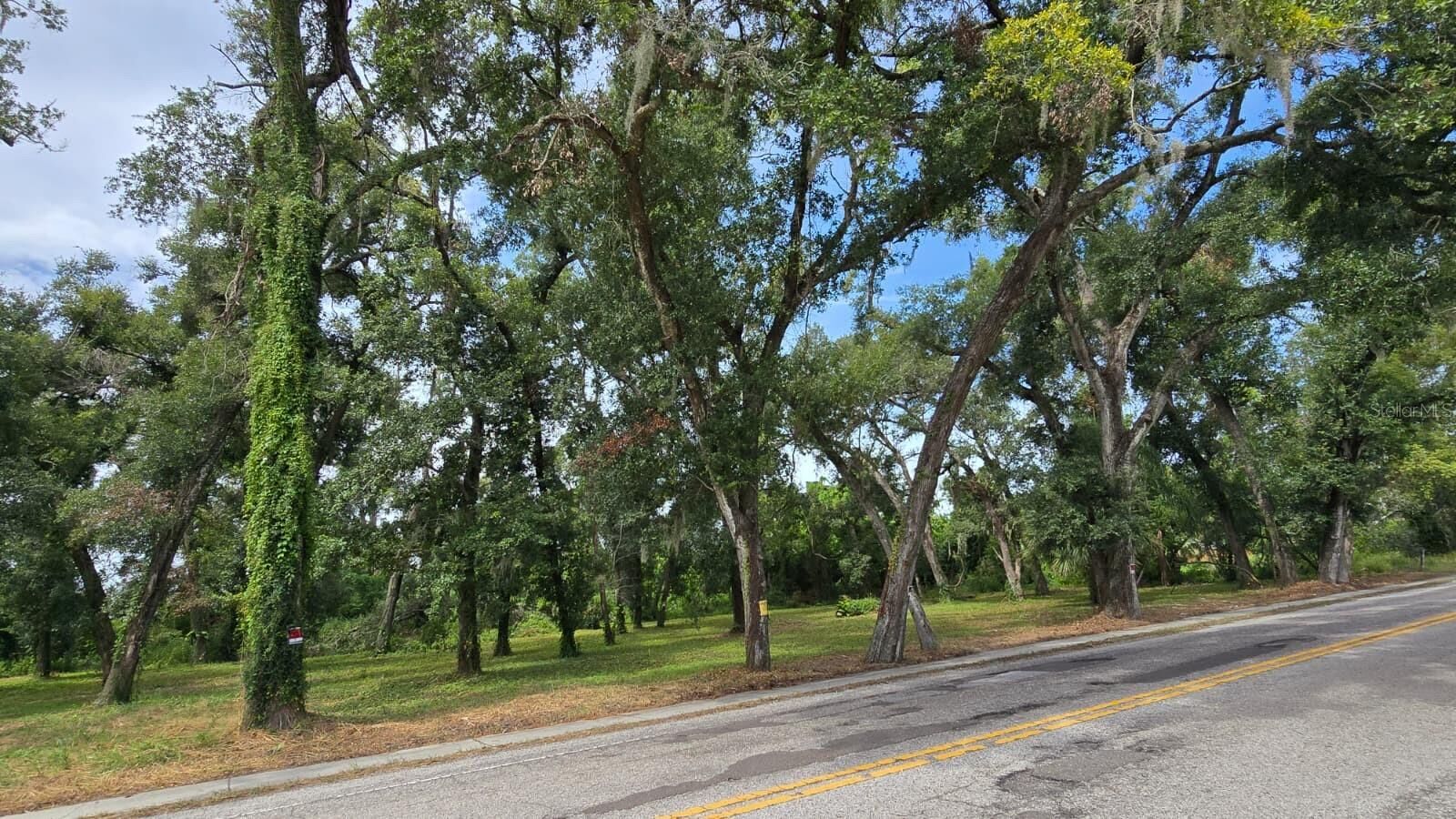 Property Photo:  712 Lithia Pinecrest Road  FL 33511 