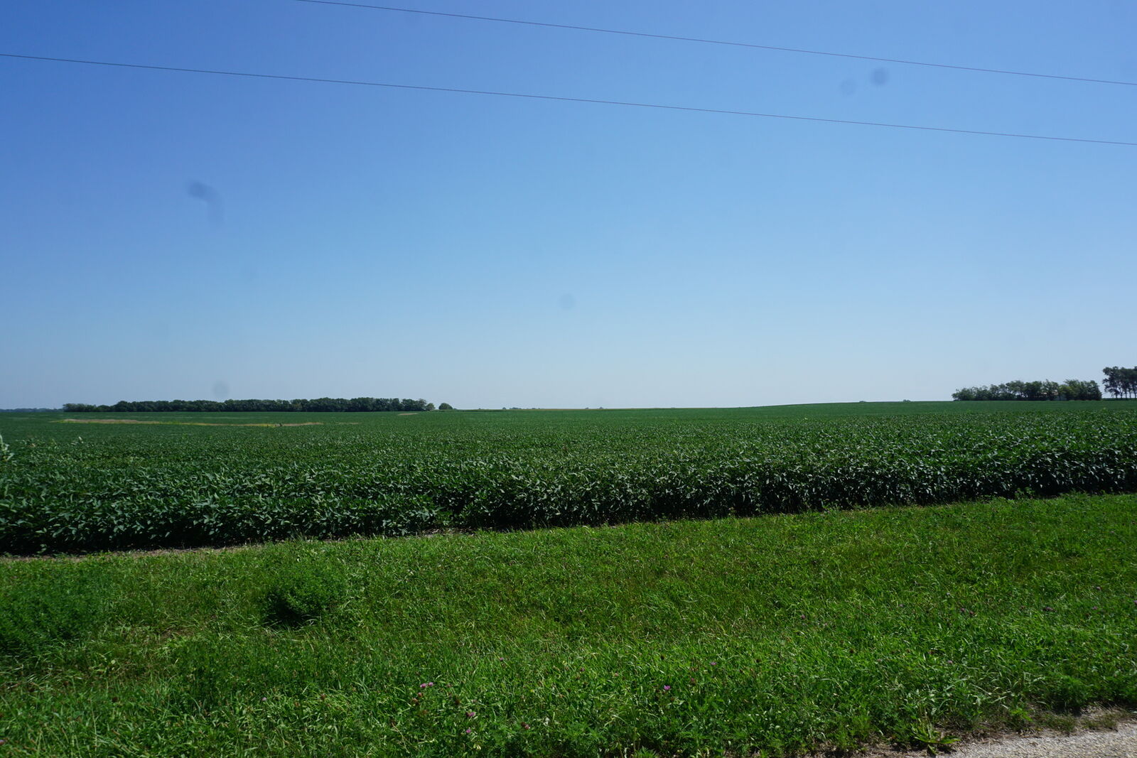 Property Photo: