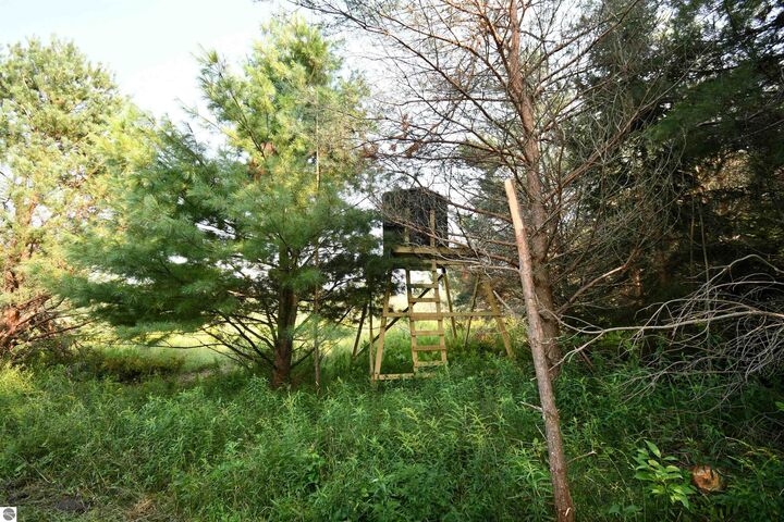 Property Photo:  9537 Lakeview Road  MI 49706 