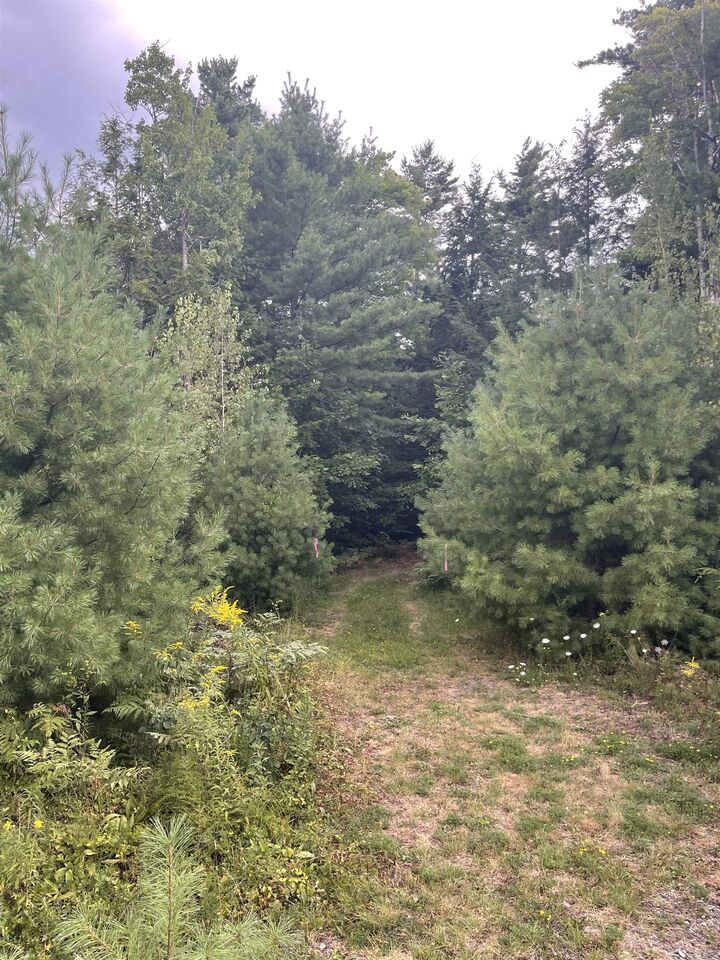 Property Photo: Hidden View Drive NH 03455