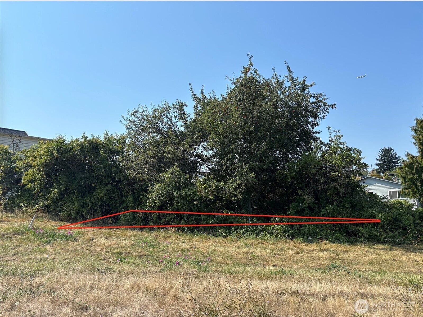 Property Photo:  5943  29th Ave  S C  WA 98108 