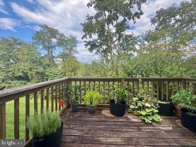 Property Photo:  611 Tudor Drive  VA 22603 