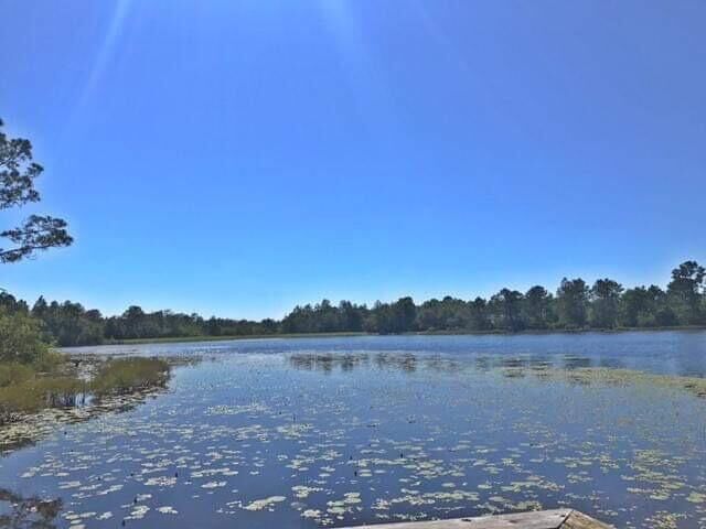 Property Photo: Lot 33 Caswell Drive FL 32433