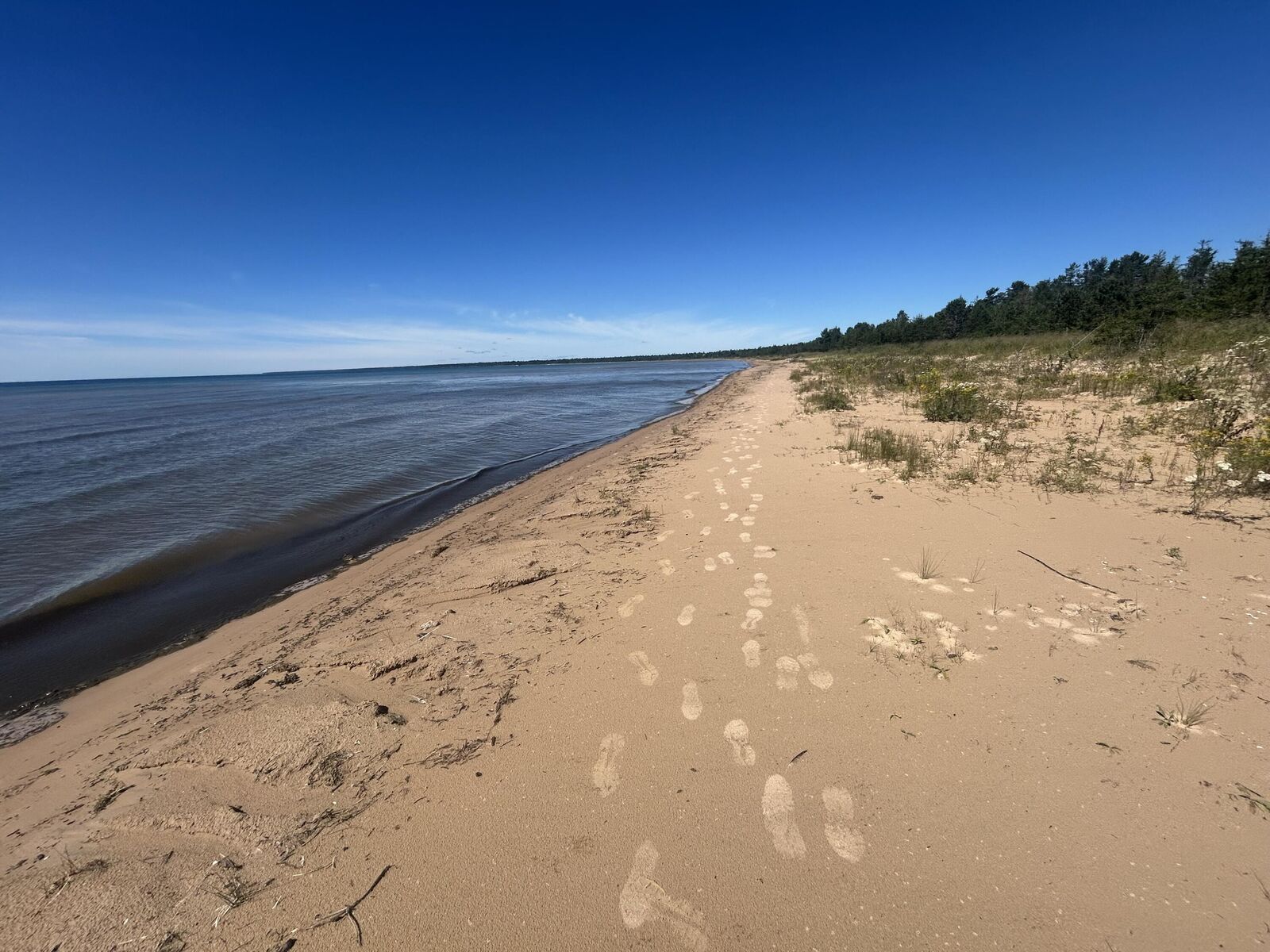 Property Photo:  Lot 42 West Beach Rd  MI 49762 