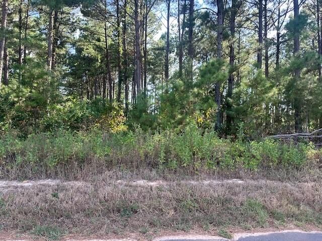 Property Photo: Tbd 5 Acres W Cr 3271 TX 75681
