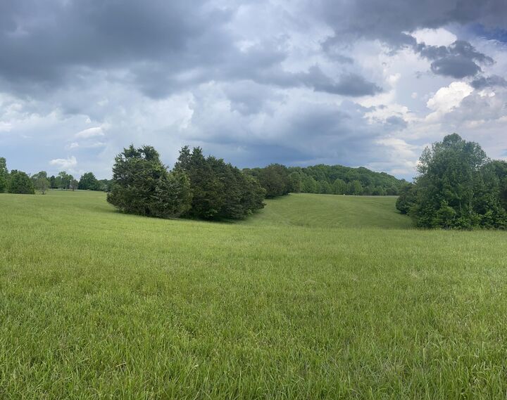 Property Photo:  Lots232425 Parks Ridge  KY 42642 