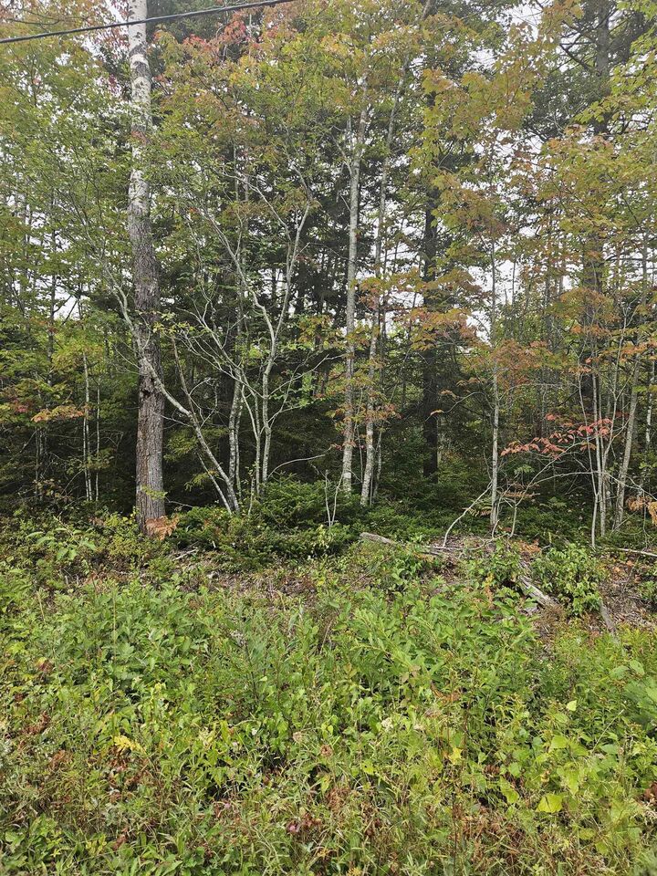 211 Bennie Muckle Road Bramber — photo 1
