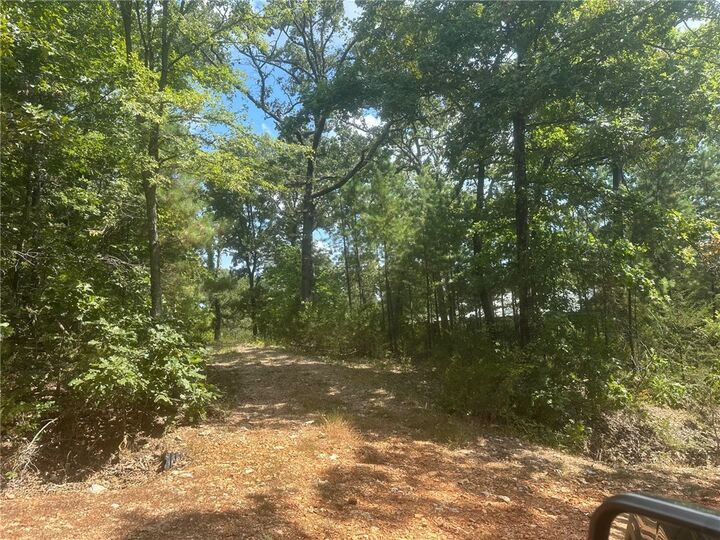 Property Photo: 126 County Road 4502 AR 72616