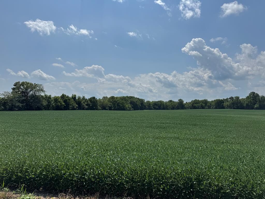 Property Photo:  Clarksburg Pike  OH 43145 