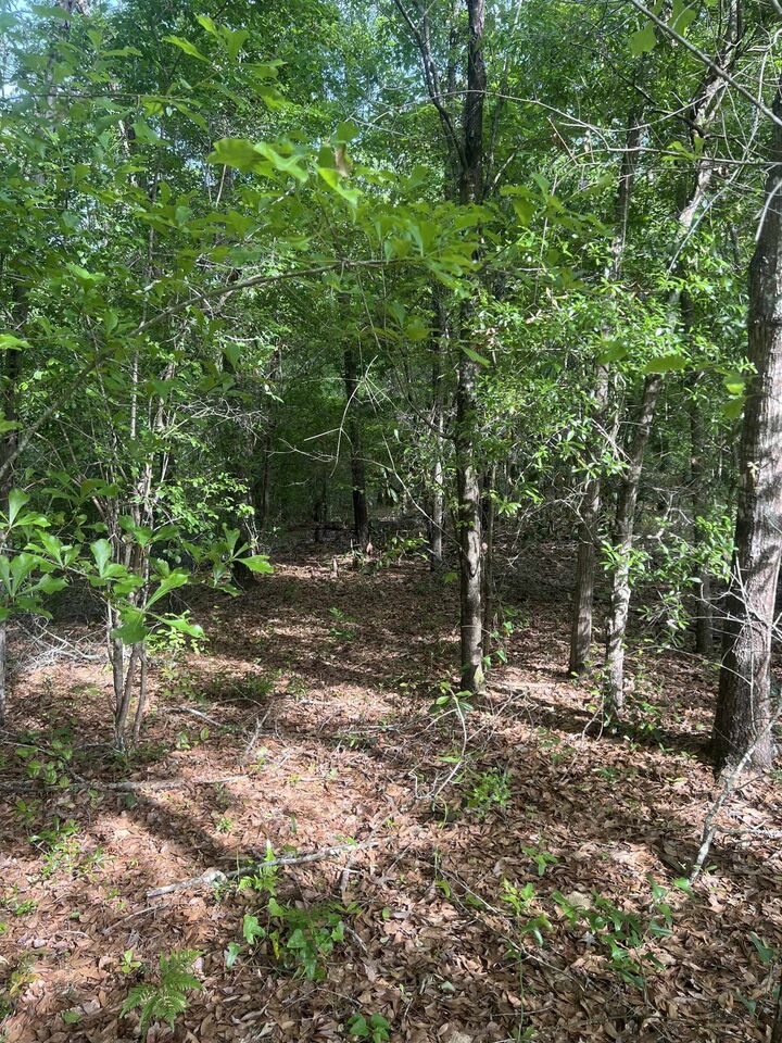 Property Photo:  0 S Oak Road  FL 32324 