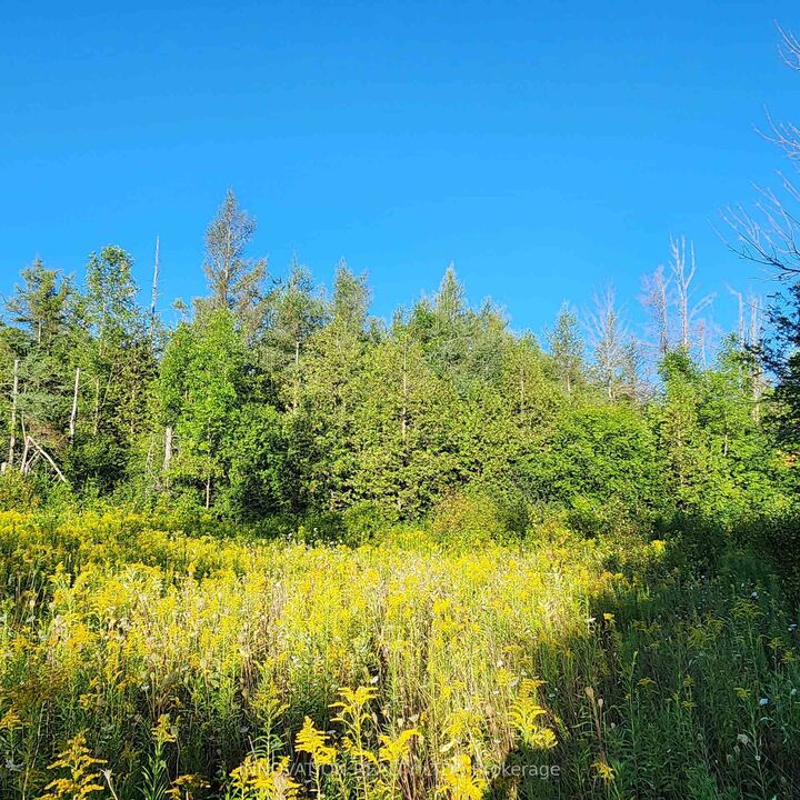 Property Photo:  7020 Gallagher Road  ON K0A 2T0 