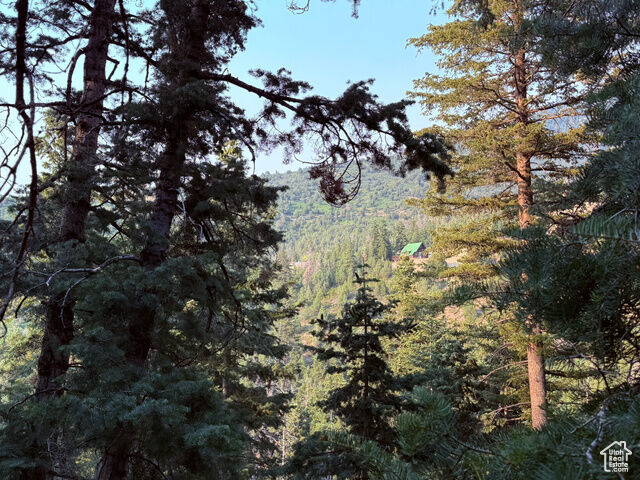 Property Photo: 39 Pine Creek Rd A39 UT 84647