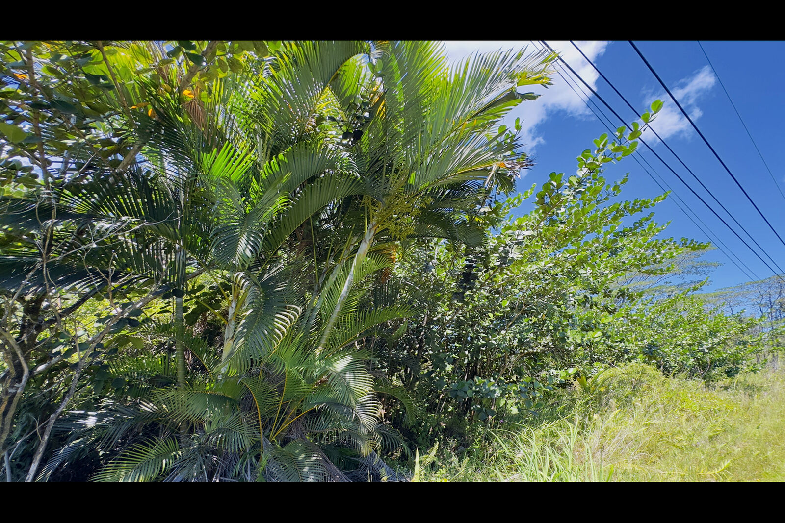 Property Photo:  16th Ave  HI 96749 