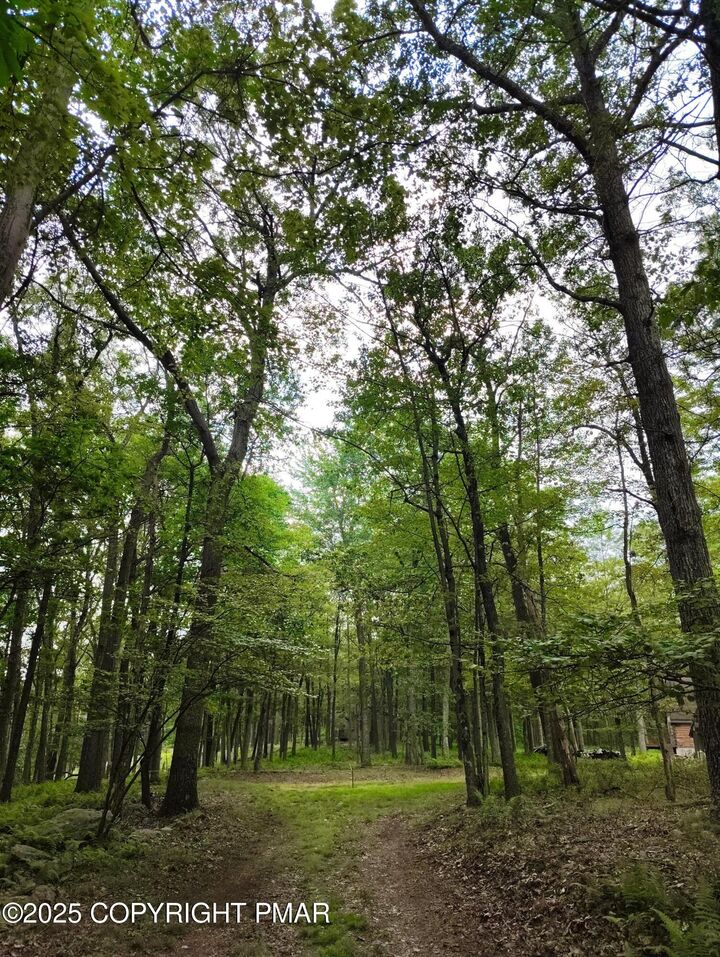 Property Photo: Lot 48 Mountain Terrace PA 18661