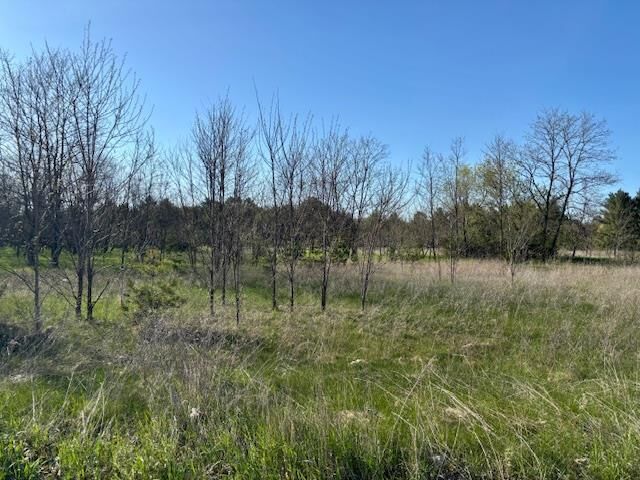 Property Photo:  2815 Plover Road  WI 54494 