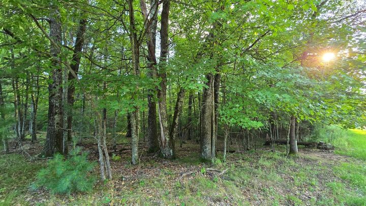 Property Photo:  461 E Benson Avenue  WI 54840 