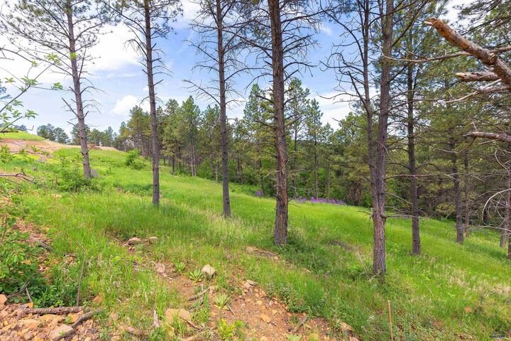 Property Photo: 1250 Pinnacle Ct SD 57701