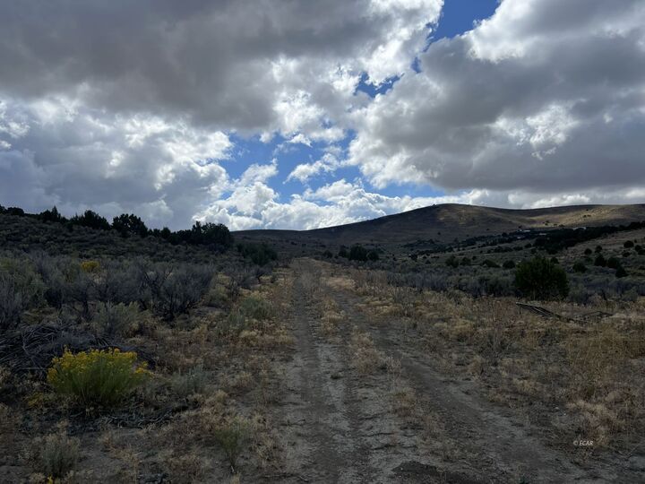 Property Photo: 412 Murdoch Way NV 89801