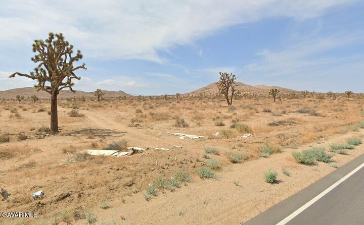 Property Photo:  Vic 196th St E And Ave J4  CA 93535 