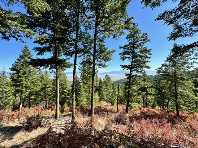 Property Photo: Nhn Dry Gulch Road MT 59804