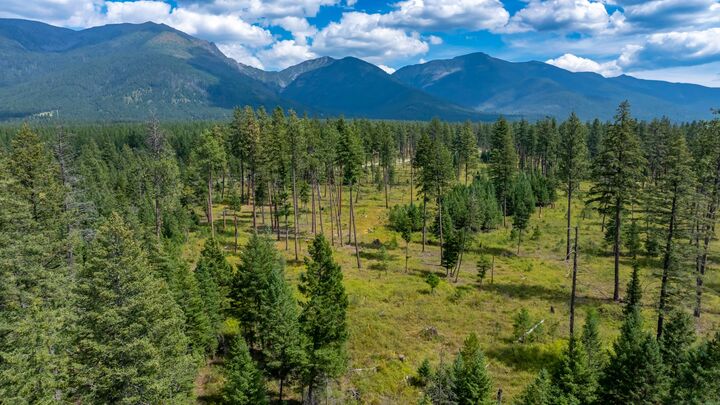 Property Photo:  12554 Mt Highway 83  MT 59911 