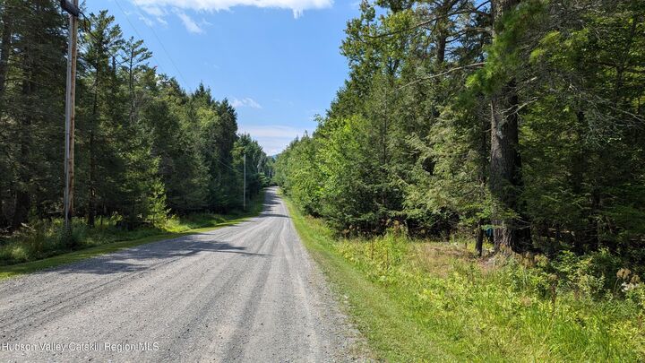 Property Photo:  82 Conifer Lake W  NY 12444 