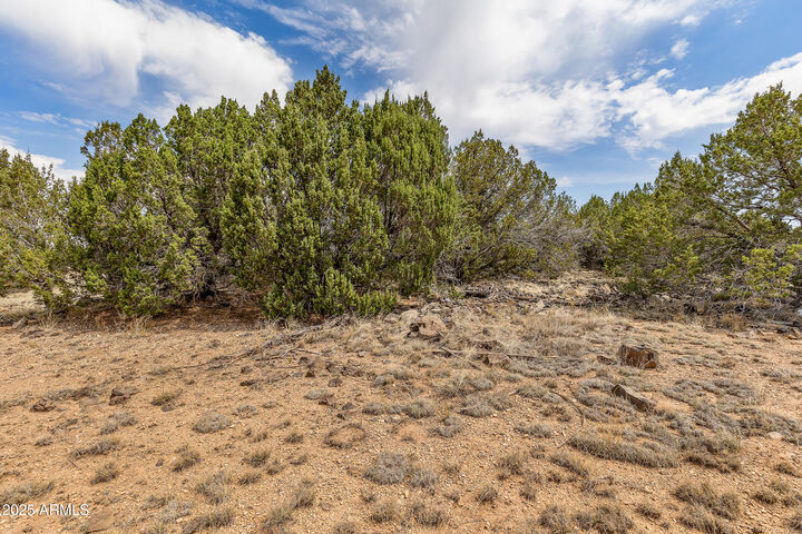 Property Photo:  8359 N 8 Mile Boulevard 6  AZ 86046 