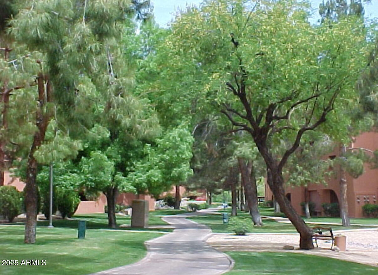 Property Photo: 4303 E Cactus Road 146 AZ 85032