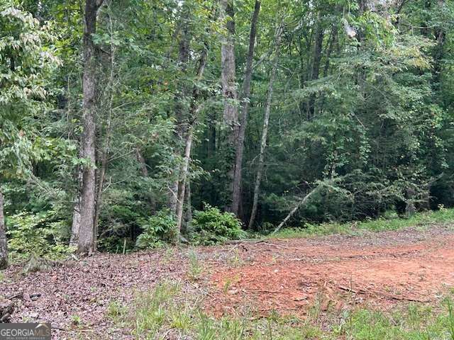 Property Photo: Lt3729 Falcon Drive GA 30540