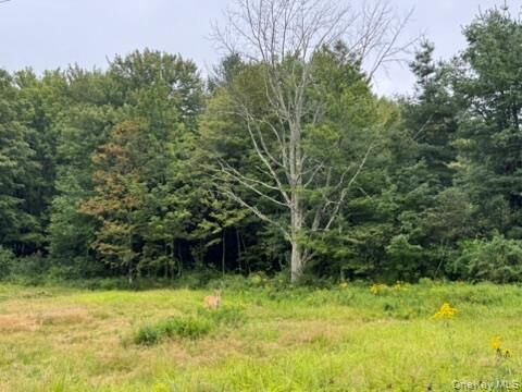 Property Photo: 480 Cr 131 NY