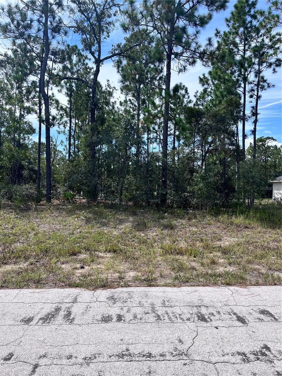 Property Photo: 2910 W Rutland Drive FL 34433
