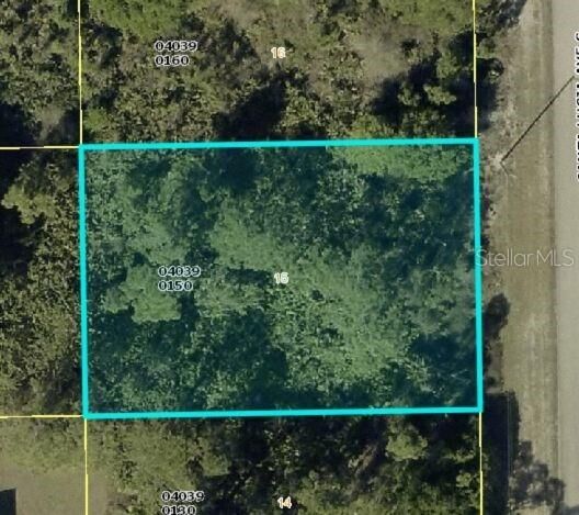 Property Photo: 834 Santa Lucia Avenue S FL 33974