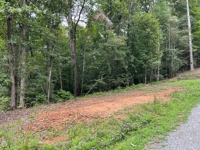 Property Photo:  Lt3729 Falcon Drive  GA 30540 