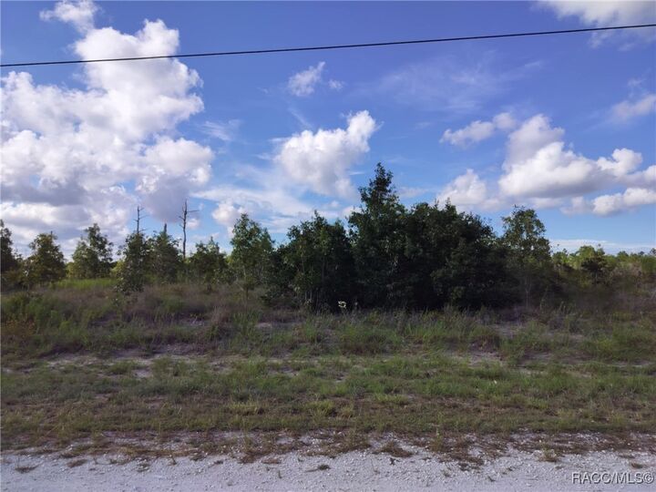 Property Photo: 0 Scissorbill Avenue FL 34614