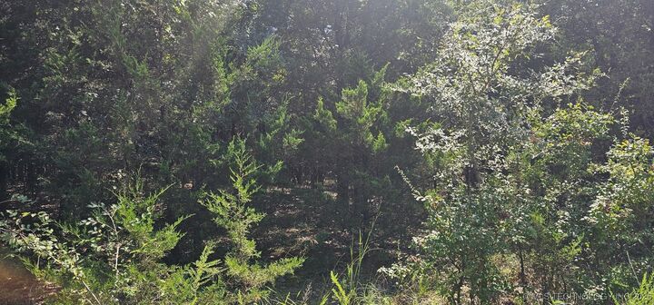 0000 Bootleg  Gore OK 74435 photo