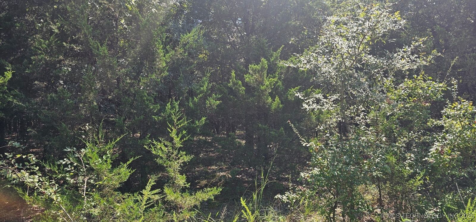 Property Photo:  0000 Bootleg  OK 74435 