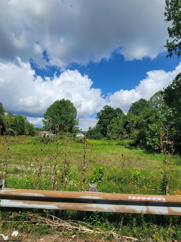 Property Photo: Tbd Rt. 219/250 Road WV 26241