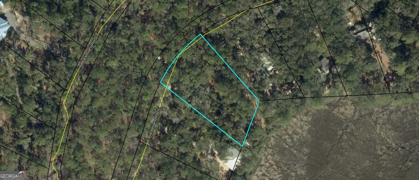 Property Photo: Lot 28 E Black Island Road GA 31305