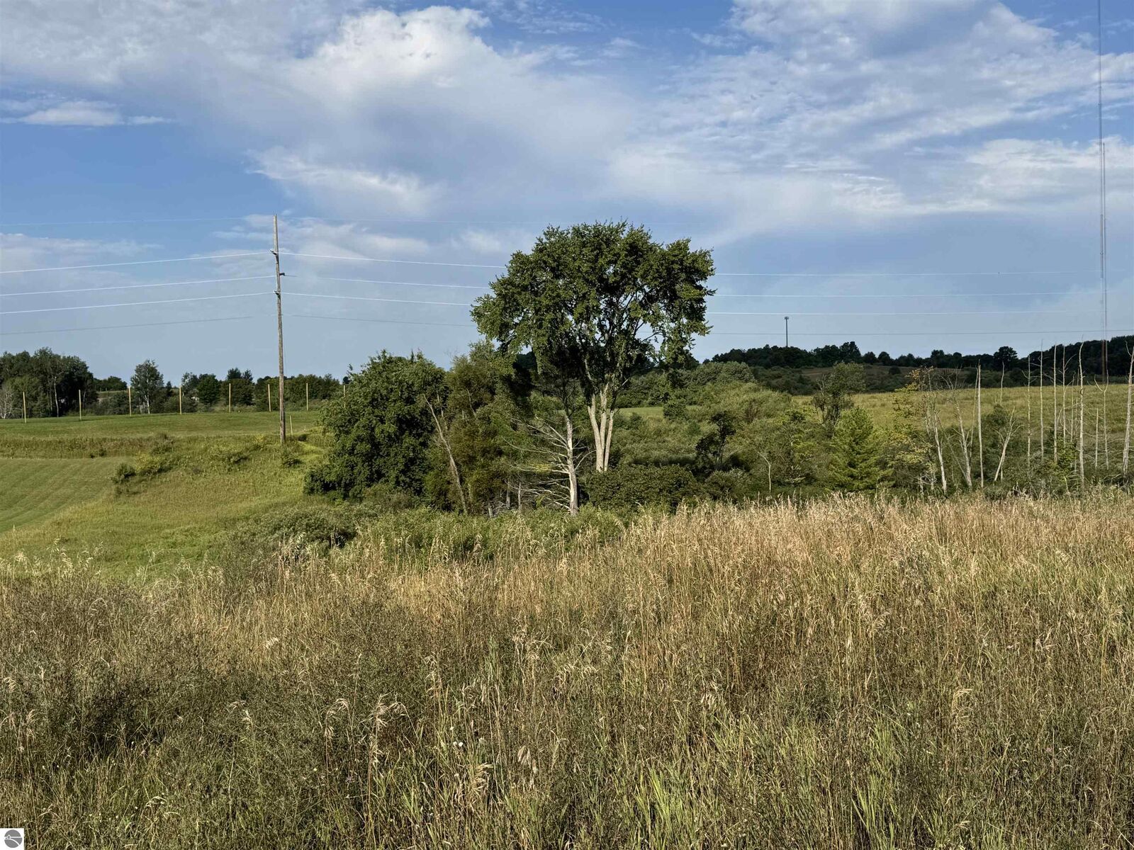 Property Photo: 2231 Tyler Hills Drive MI 49685