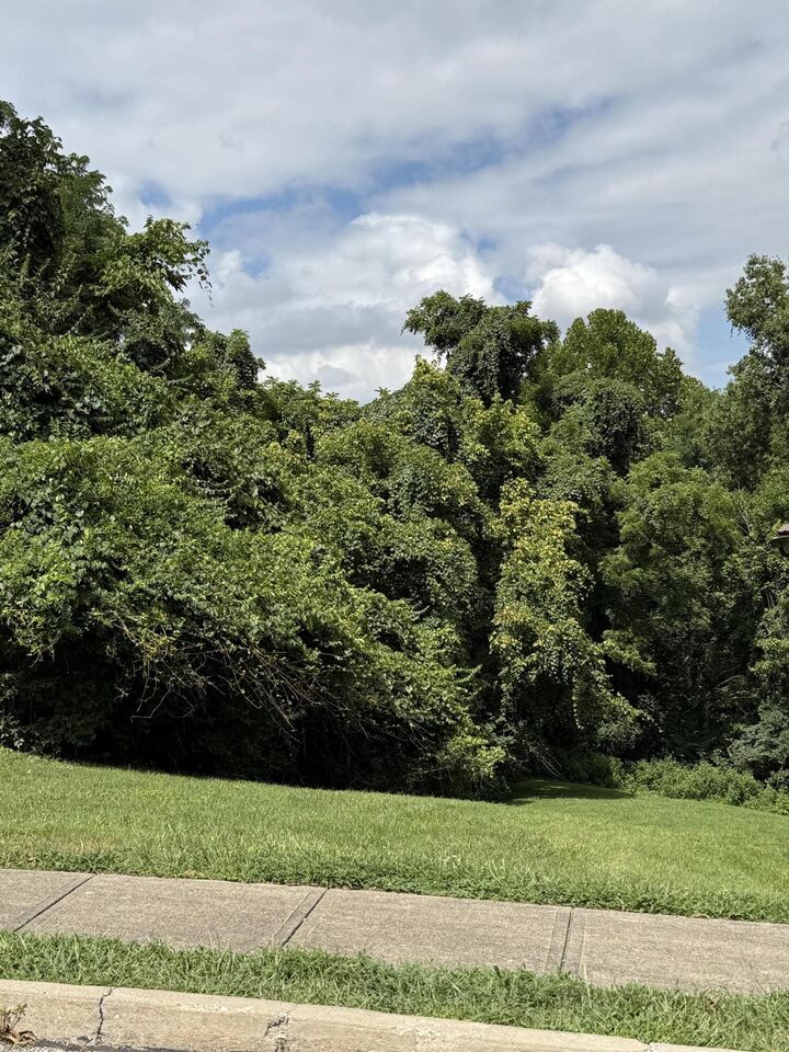 Property Photo: 1 Baum &Amp Burnet KY 41071