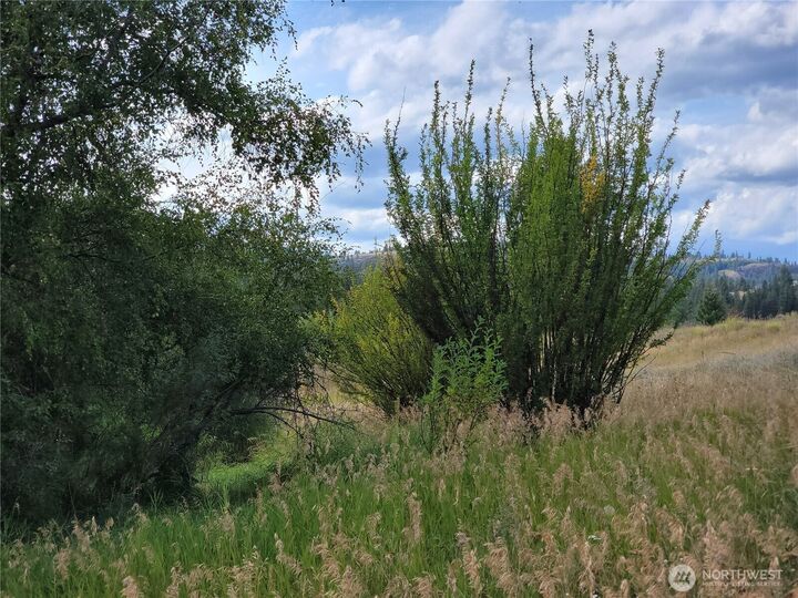 Property Photo:  0  Curlew Drive  WA 99166 