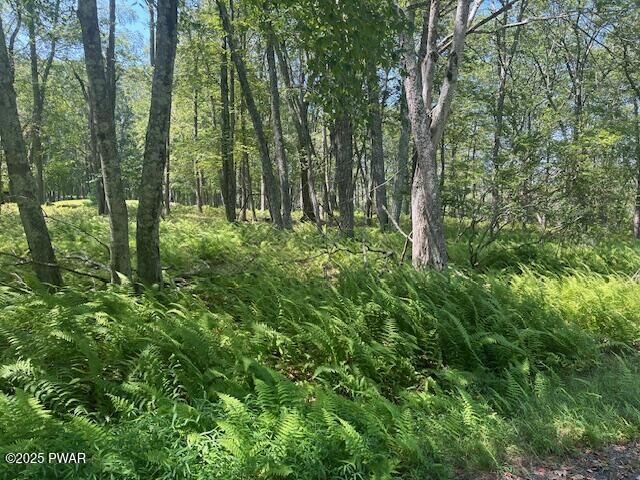 Property Photo: Lot 3810 Floyd Court PA 18337
