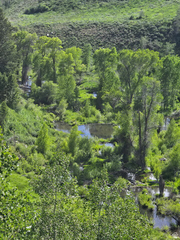Property Photo: 6621 N Middle Fork Dr 89 UT 84317